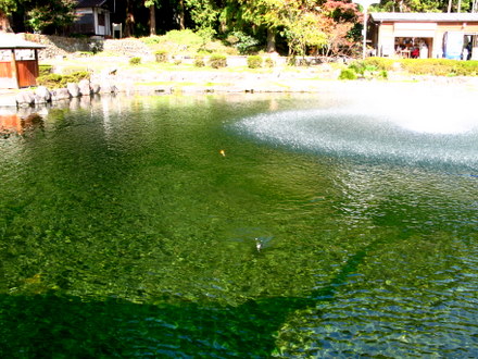 釣り場