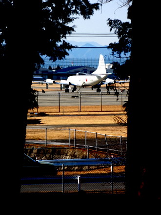 アスレチックの上からみた飛行機