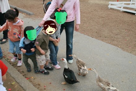 餌やり
