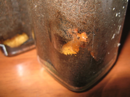 カブトムシの幼虫蛹化