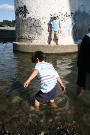 相模川