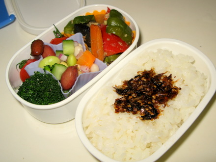 本日のレオのお弁当