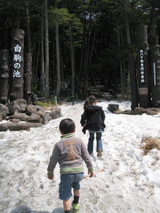 白駒池