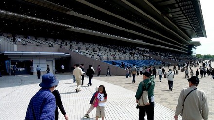 東京競馬場観覧席