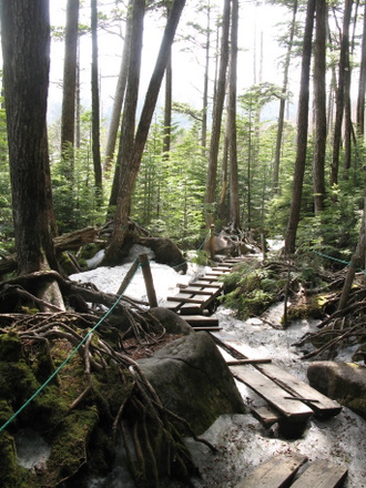山林