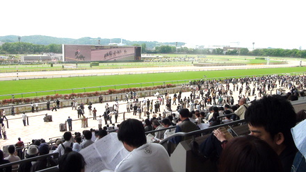 東京競馬場
