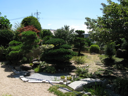 庭