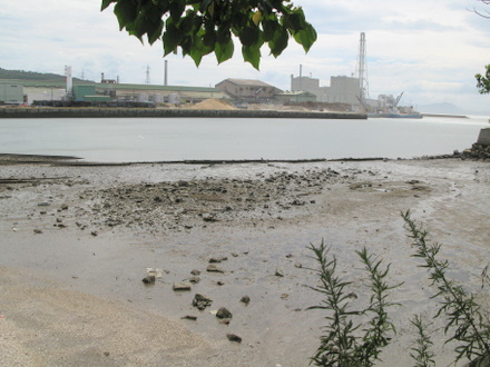 近くの海