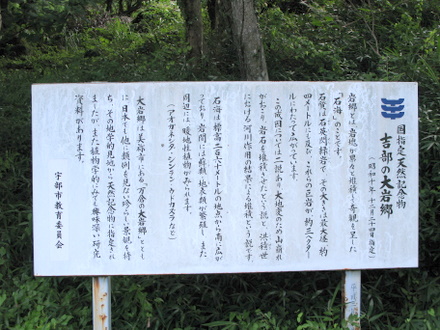 説明
