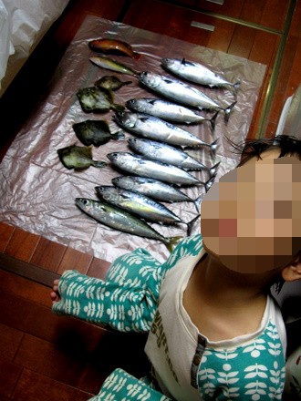 海釣り釣果