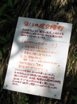 説明